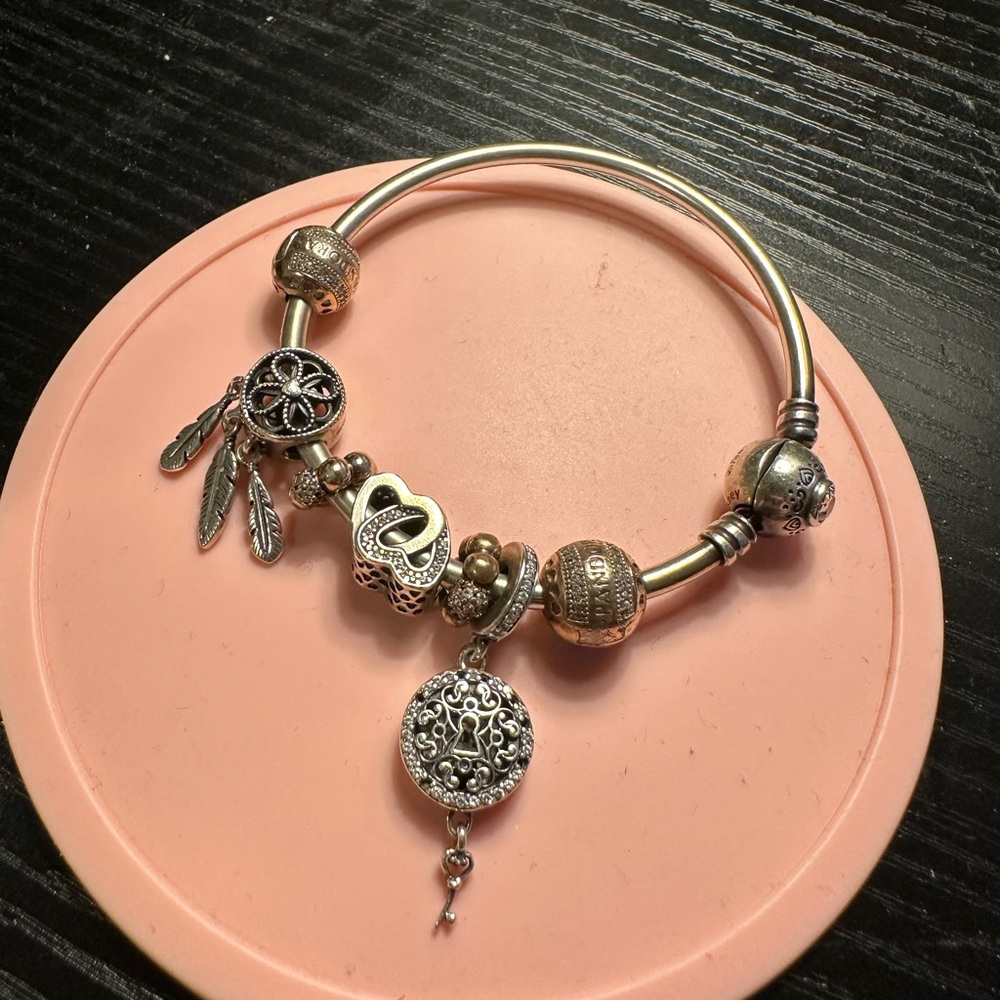 ENTIRE PANDORA Bracelet